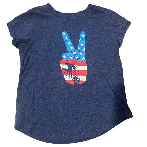 Family Fun 3T American Peace Tee, Unisex - Picture 1 of 3